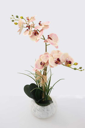 Yapay Çiçek Deposu - Beton Kabak Saksıda 2li Islak Orkide Tanzimi Krem-Fuşya Benekli