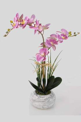 Yapay Çiçek Deposu - Beton Kabak Saksıda 2li Islak Orkide Tanzimi Mor Benekli