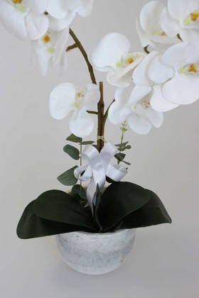 Beton Oval Saksıda 2li Islak Orkide Tanzimi Beyaz - Thumbnail