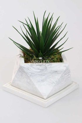 Mermer Görünümlü Beton Saksıda Dev Succulent Sukulent 20cm - Thumbnail