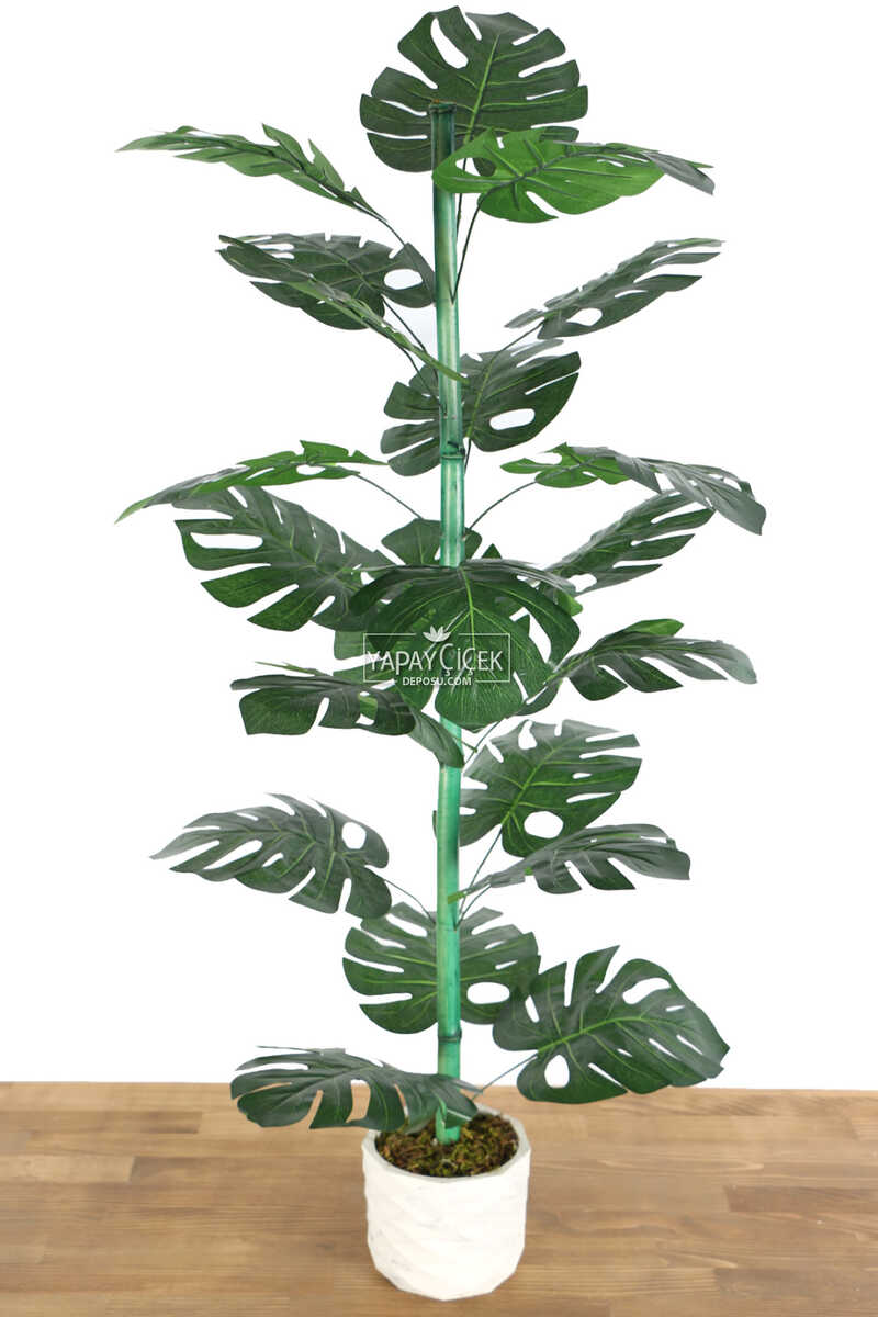 Beton Saksıda 21 Yapraklı Yapay Monstera (deve Tabanı) Ağacı 110 Cm