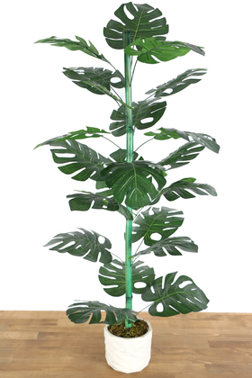 Beton Saksıda 21 Yapraklı Yapay Monstera (Deve Tabanı) Ağacı 110 cm - Thumbnail