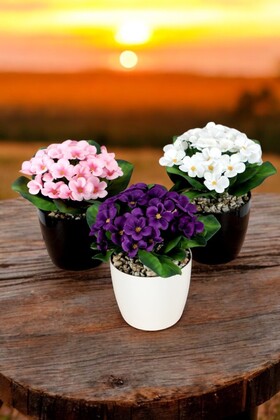 Yapay Çiçek Dekoratif 3lü Menekşe Set - 3