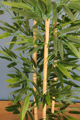 Beton Saksıda Bambu Ağacı 100 cm 3 Gövdeli - Thumbnail
