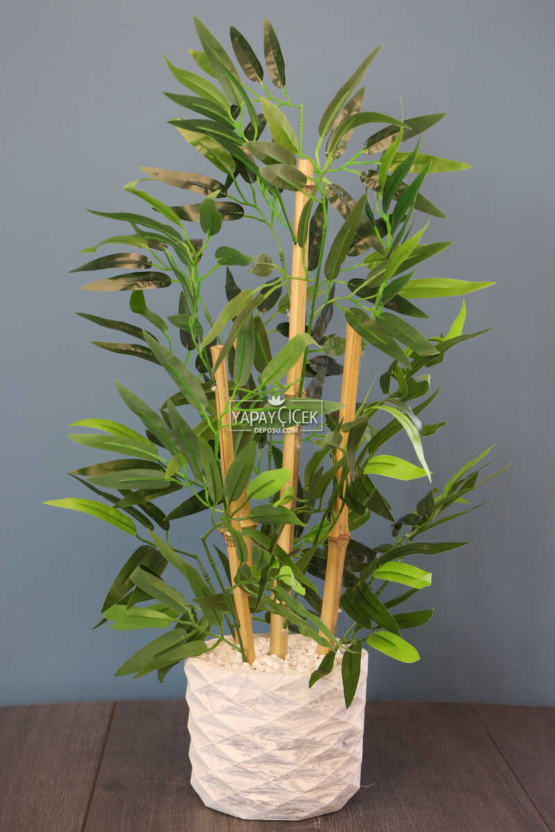 Beton Saksıda Bambu Ağacı Koyu Yeşil 65 cm (Taşlı Model)