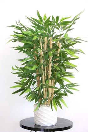 Yapay Çiçek Deposu - Beton Saksıda Bambu Ağacı Yoğun Yapraklı