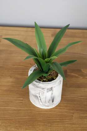 Beton Saksıda Gerçek Dokulu Büyük Succulent 30 cm - Yapay Çiçek Deposu
