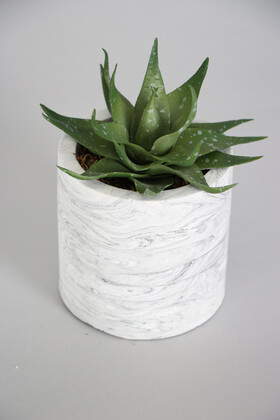 Yapay Çiçek Deposu - Beton Saksıda Islak Büyük Succulent Haworthia Yeşil