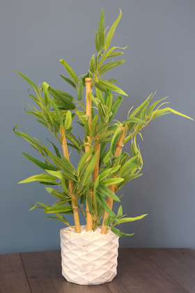 Beton Saksıda Lüx Bambu Ağacı Açık Yeşil 65 cm (Taşlı Model) - 2