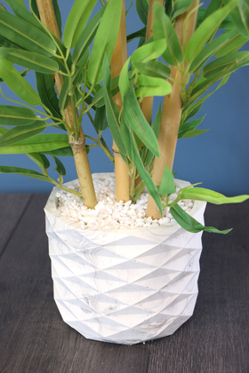 Beton Saksıda Lüx Bambu Ağacı Açık Yeşil 65 cm (Taşlı Model) - Thumbnail