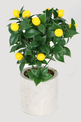 Yapay Çiçek Deposu - Beton Saksıda Mini Limon Ağacı 30 cm