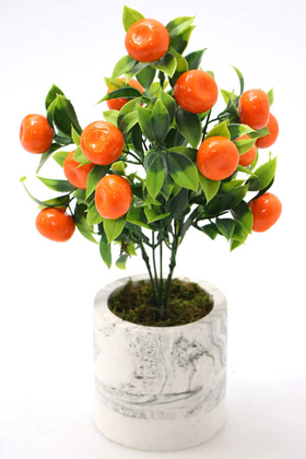Beton Saksıda Mini Mandalina Ağacı 32 cm - Yapay Çiçek Deposu