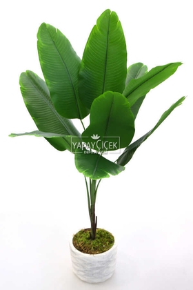 Yapay Çiçek Deposu - Beton Saksıda Mini Muz Ağacı 80 cm