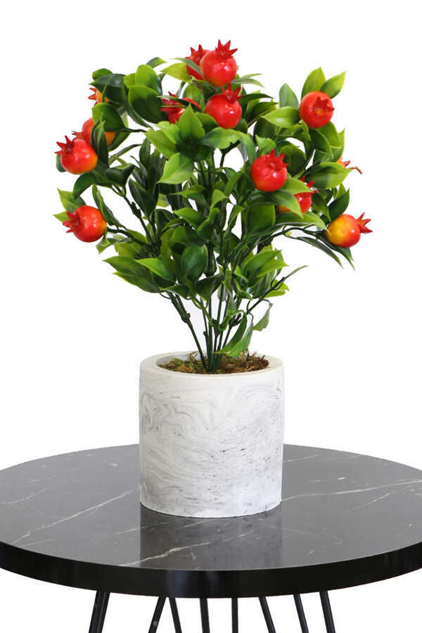Beton Saksıda Mini Nar Ağacı 32 Cm
