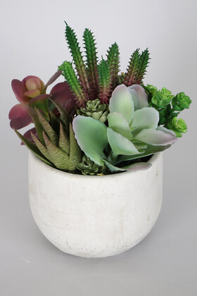 Beton Saksida Yapay Succulent Bahçesi Orman Model - 2