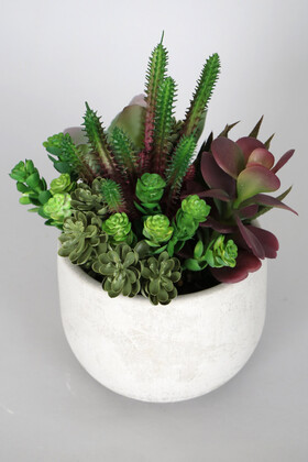 Beton Saksida Yapay Succulent Bahçesi Orman Model - 3