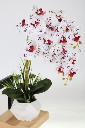Yapay Çiçek Deposu - Beton Saksıda Yapay Baskılı Islak 2 Dal Orkide 60 cm Bordo Benekli
