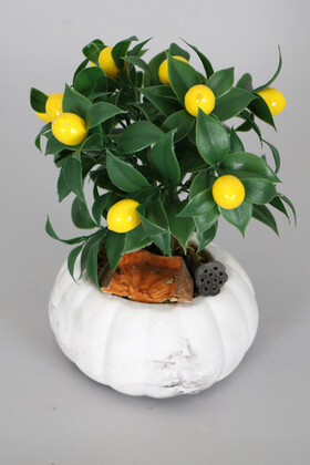 Yapay Çiçek Deposu - Beton Kabak Saksıda Yapay Limon Demeti 22 cm