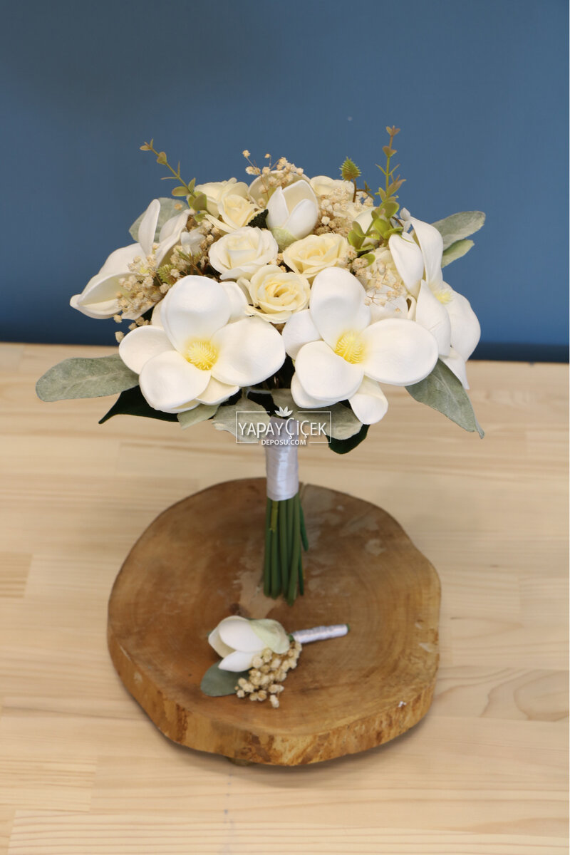 Beyaz Gelin Çiçeği Manolya-