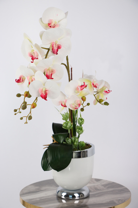 Metal Beyaz-Gümüş Saksıda Lüx 4lü Orkide Beyaz-Pembe - Thumbnail
