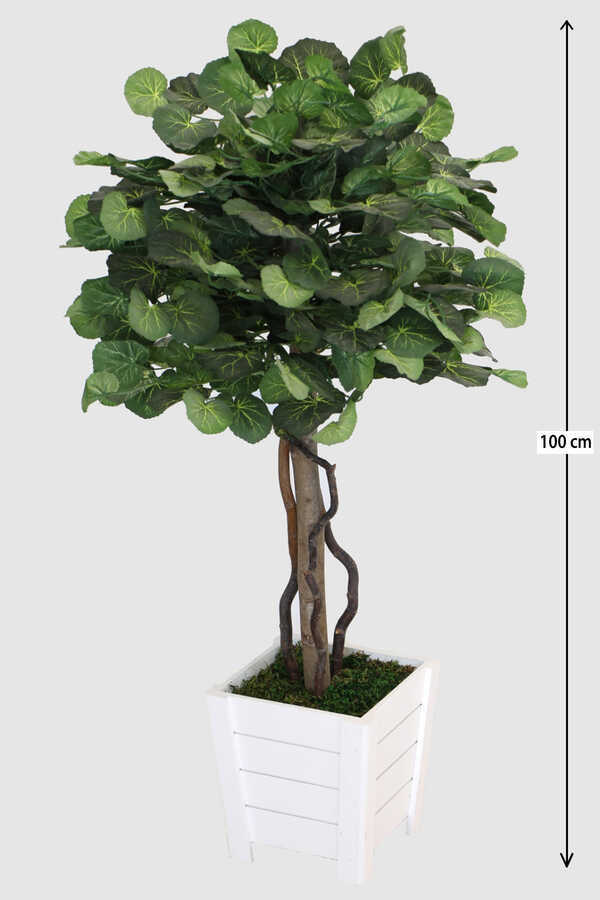 Beyaz Saksıda Yapay Begonya Ağacı 100 Cm Yeşil