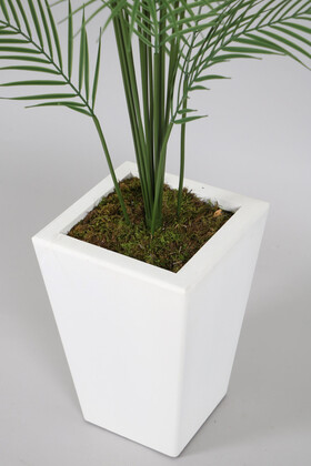 Beyaz Saksıda 15 Yapraklı Yapay Areka Palmiyesi Ağacı 150 cm Feniks - Thumbnail