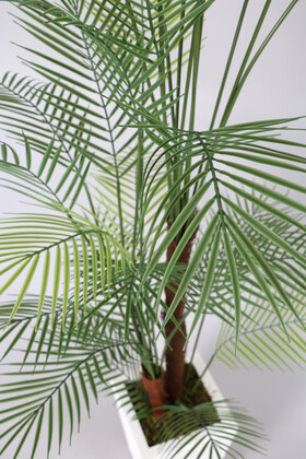 29 Yapraklı Yapay Areka Palmiyesi Ağacı 180 cm Feniks - Thumbnail