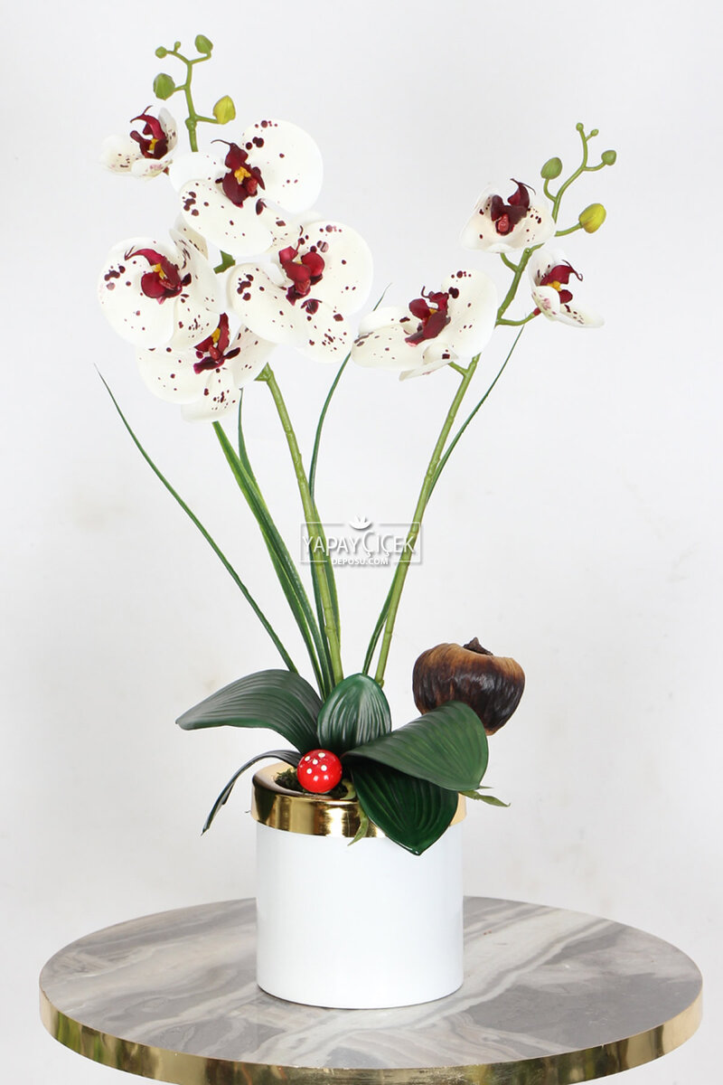Mini Metal Beyaz Gold Saksıda Yapay Islak Orkide Tanzimi 55 cm Beyaz Benekli