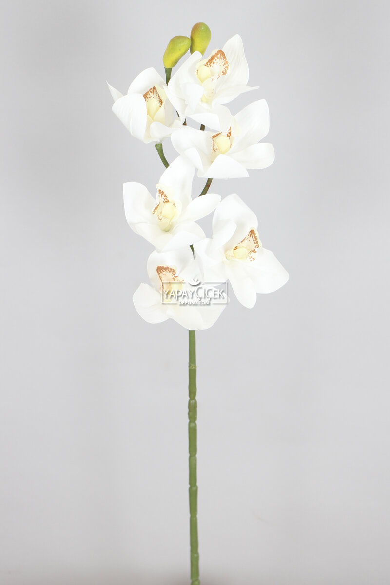 Yapay Islak Dokulu Premium Singapur Orkide Çiçeği 72 cm Beyaz