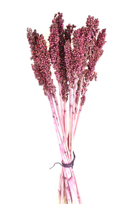 Yapay Çiçek Deposu - Kuru Çiçek Sorghum Otu 55 cm Bordo