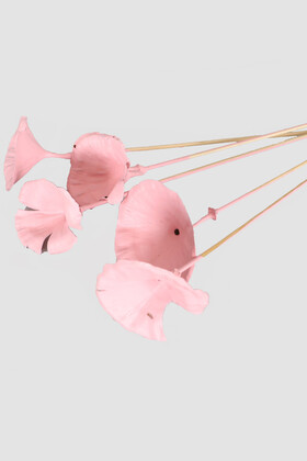 5 Adet Kuru Golden Mushromm Bambu Çubuklu Açık Pembe - 2