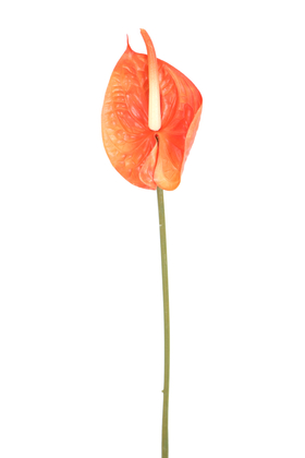 Yapay Çiçek Deposu - Yapay Yıkanabilir Silikon Antoryum Çiçeği 66 cm Turuncu