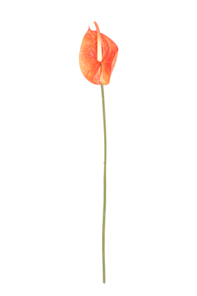Yapay Yıkanabilir Silikon Antoryum Çiçeği 66 cm Turuncu - Thumbnail