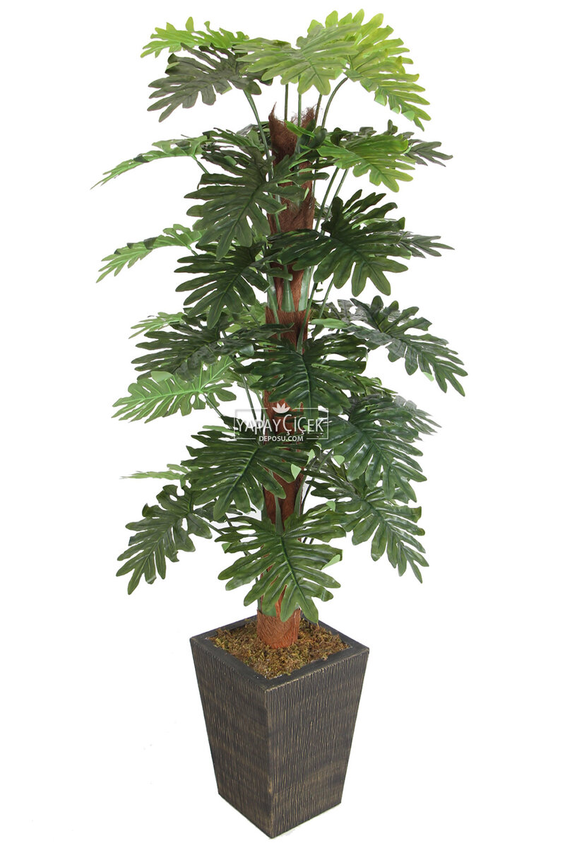 36 Yapraklı Yapay Philodendron Deve Tabanı Ağacı 190 Cm (ahşap Siyah Gold-saksıda)