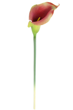 Yapay Çiçek Deposu - Yapay Islak Tek Dal XXL Gala Çiçeği 85 cm Yeşil Kiremit