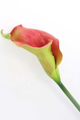 Yapay Islak Tek Dal XXL Gala Çiçeği 85 cm Yeşil Kiremit - Thumbnail