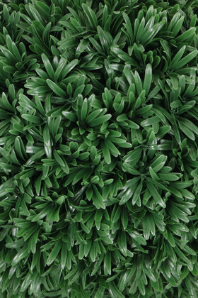 Defne Yapraklı Şimşir Top 48 cm Koyu Yeşil - Thumbnail