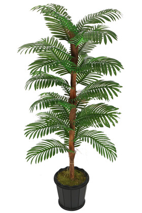 Yapay Çiçek Deposu - Kokos Gövdeli Yapay Areka Palmiyesi 24 Yapraklı 180 cm