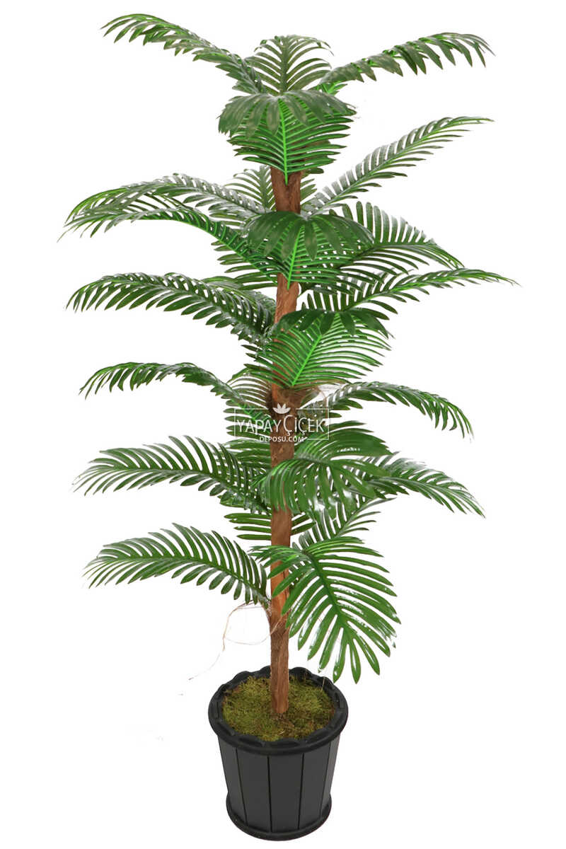Kokos Gövdeli Yapay Areka Palmiyesi 24 Yapraklı 180 cm