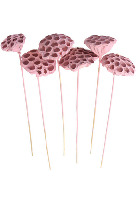 Yapay Çiçek Deposu - Succulent Lotus Plant Gerçek Lotus Çiçeği Bambu Saplı 6 Adet Açık Pembe