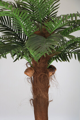 Büyük Metal Saksıda Dev Palmiye Ağacı 220 cm 20 Yapraklı - Thumbnail