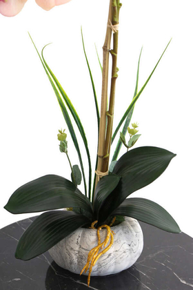 Küçük Kabak Saksıda 2li Exclusive Islak Orkide Pembe - Thumbnail