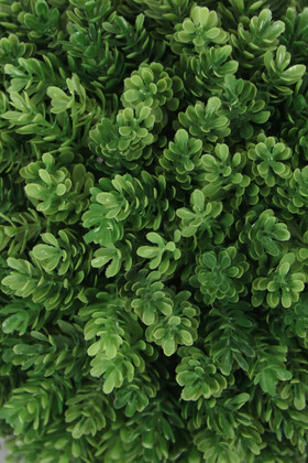 Çam Yapraklı Şimşir Top 42 cm Yeşil - Thumbnail