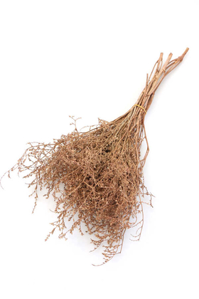 Yapay Çiçek Deposu - Şoklanmıs Tatarika Demeti 80gr(Dökülmez) Naturel