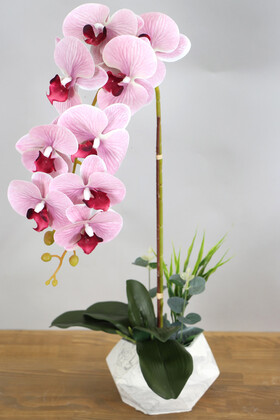 Yapay Çiçek Deposu - Beton Saksıda Yapay Baskılı Islak Orkide 55 cm Pembe Çizgili