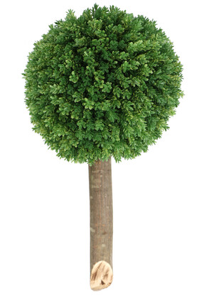 Ağaç Sap Takılı Dekoratif Lüx Şimşir Top Yeşil - Thumbnail