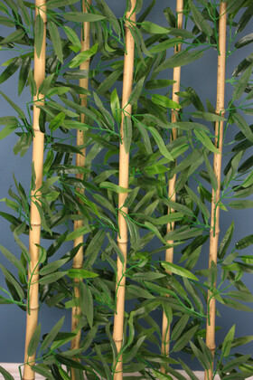 Dekoratif Saksıda Islak Yapraklı 5 Çubuklu Bambu Seperatör (20x50x135cm) - 3