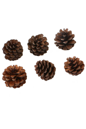 Çam Kozalak Naturel 6lı - Yapay Çiçek Deposu