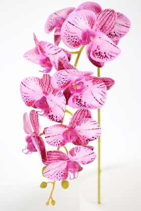 Yapay Çiçek Deposu - Yapay Dal Baskılı Orkide Çiçeği 88 cm Fuşya Çizgili