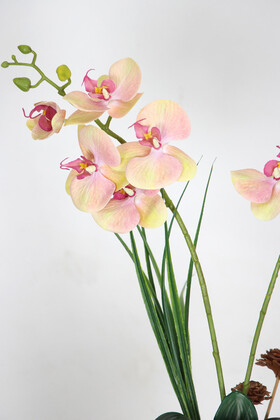 Mini Metal Beyaz Gold Saksıda Yapay Islak Orkide Tanzimi 55 cm Somon - Thumbnail